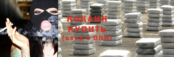 МДПВ Заводоуковск