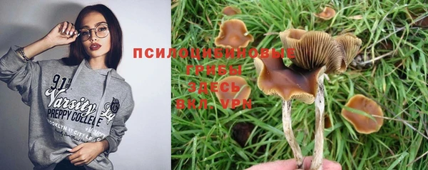 прущая мука Зеленодольск