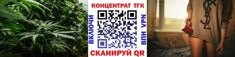 MEGA сайт  Светлогорск  Дистиллят ТГК THC oil  сколько стоит 