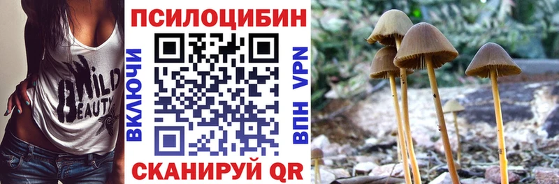 Галлюциногенные грибы Psilocybe  как найти закладки  мориарти Telegram  Светлогорск 